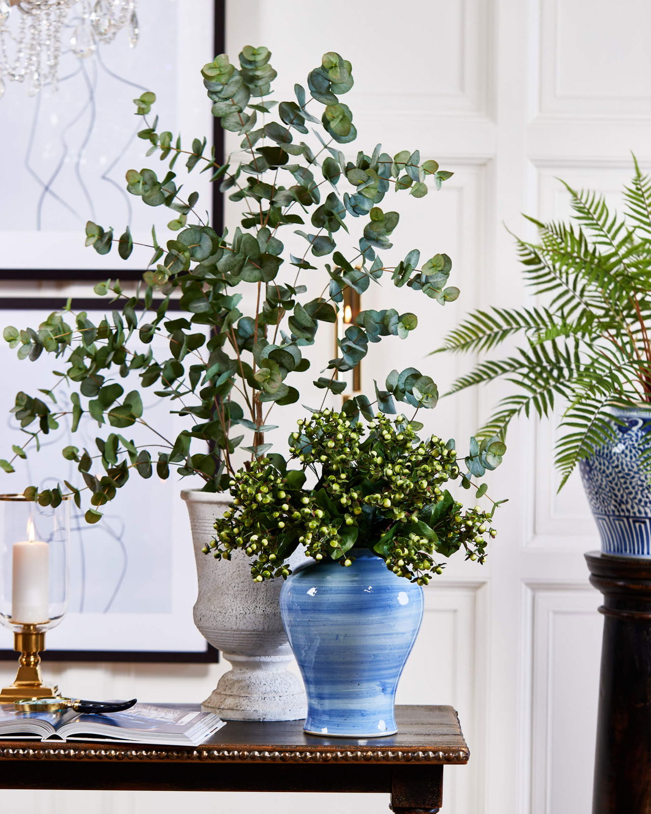 Eucalyptus Potted Plant