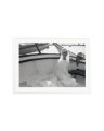 "Boulevard Du Rhum" White / XXL