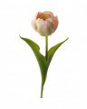 Tulipan – afskåret blomst i lyserød