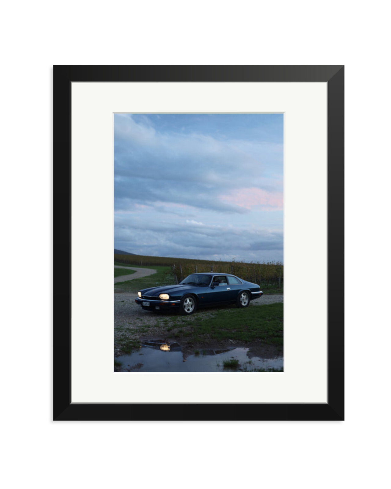 Jaguar XJS Black / Medium