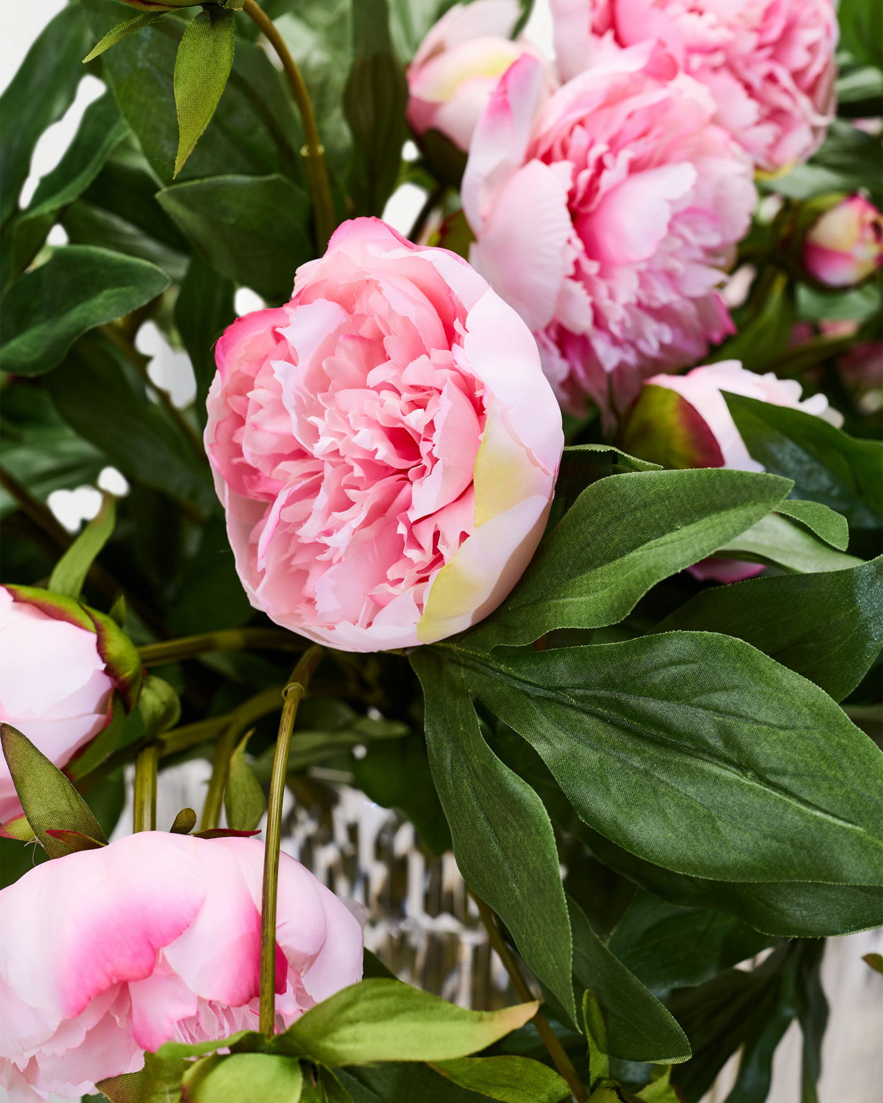 Pfingstrose Schnittblume rosa