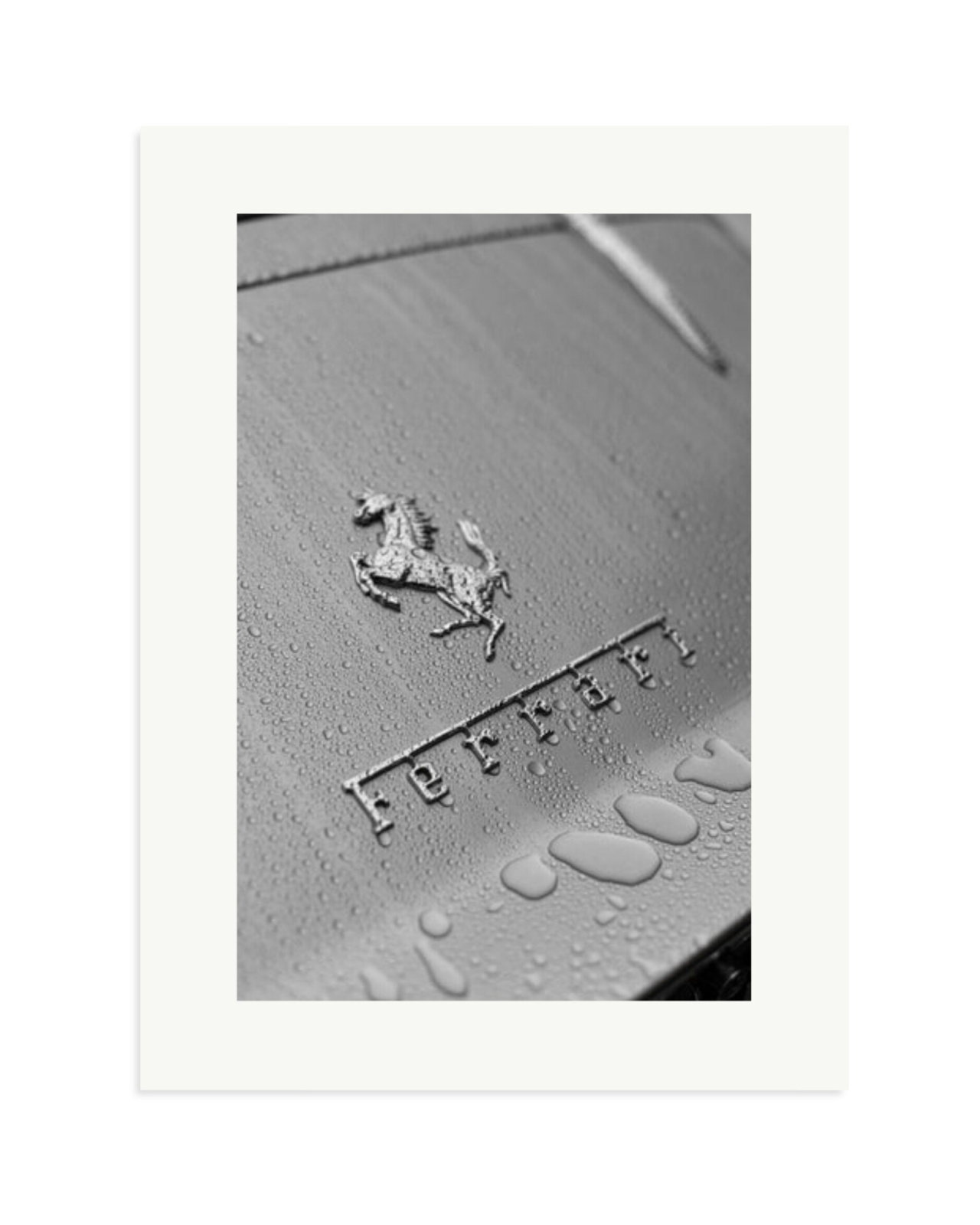 1965 Ferrari 275GTB Print Only / XL