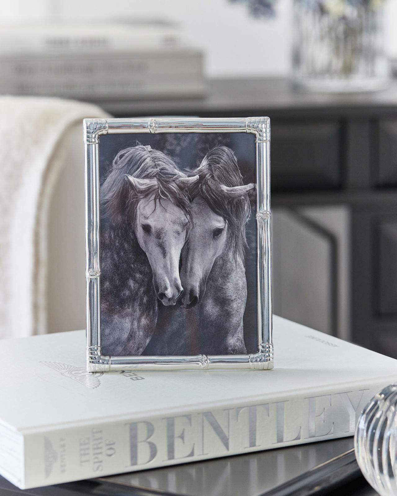 Garner fotoram silver