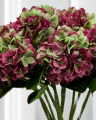 Hortensia snittblomst burgunder