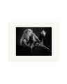 Stevie Nicks 1977 Print Only / Small