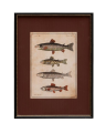Linden art print, fish