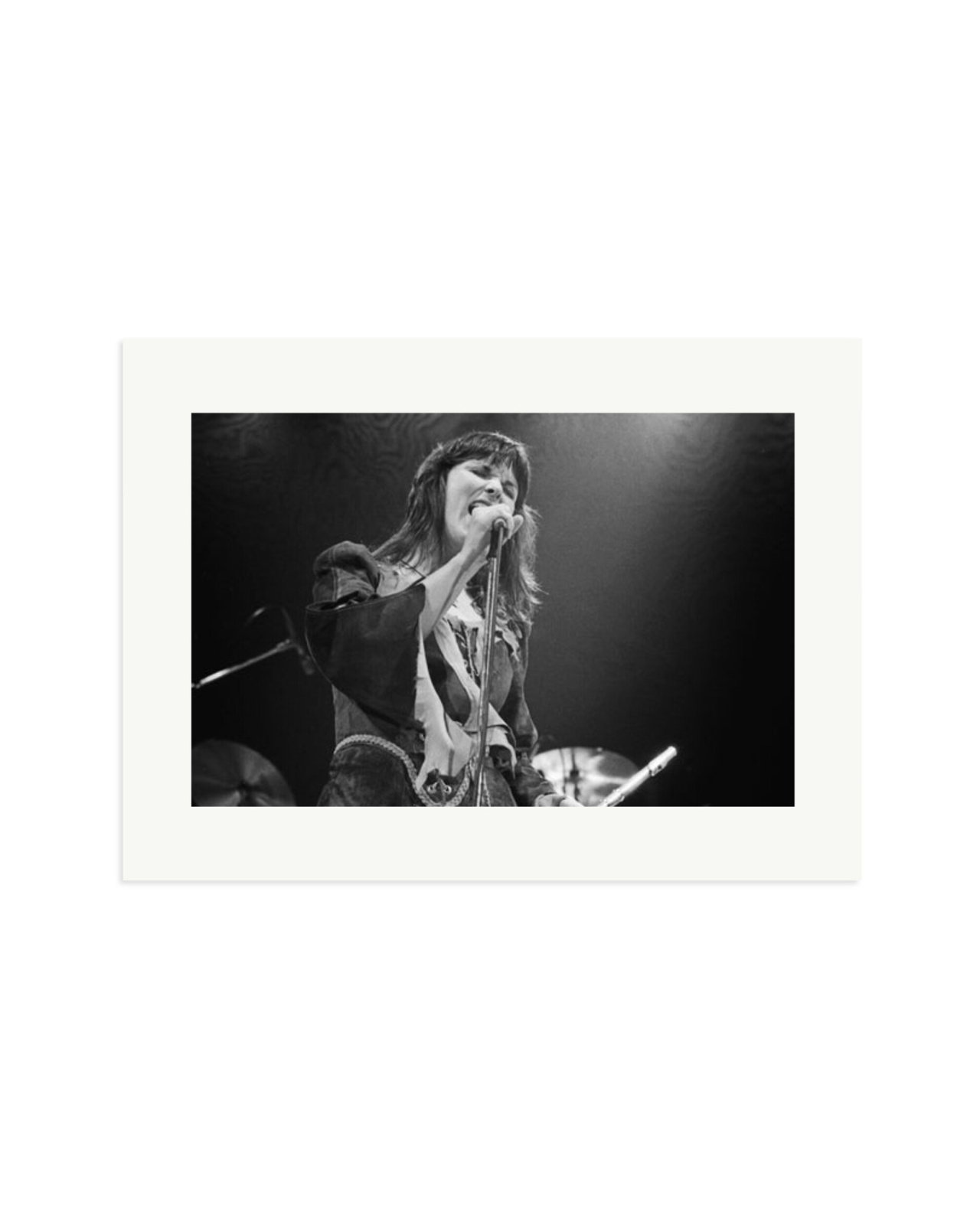 Ann Wilson 1977 Print Only / XL