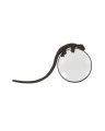 Gecko magnifying glass