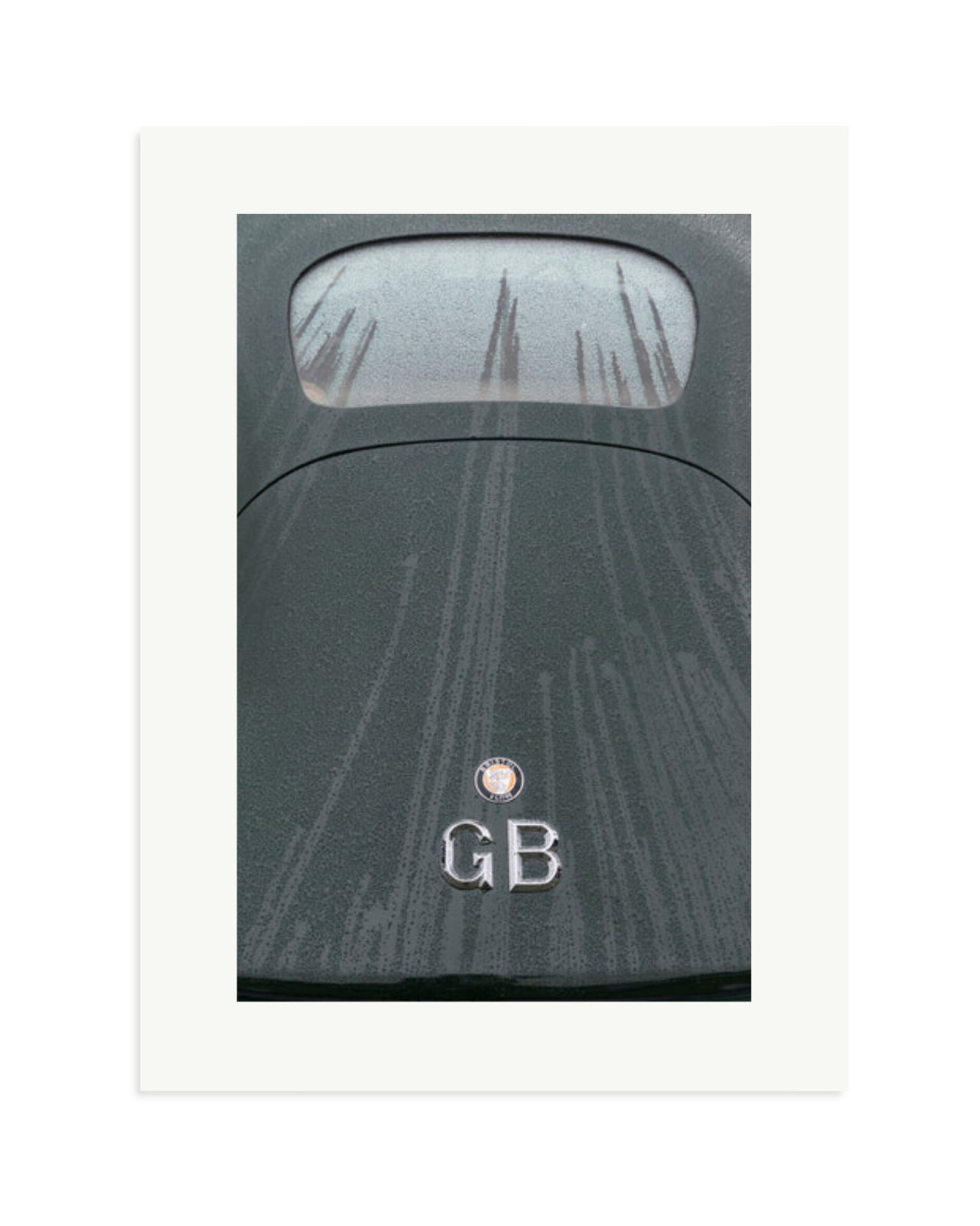 1950 Bristol 401 Print Only / XL