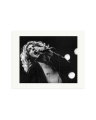 Robert Plant 1977 Print Only / Medium