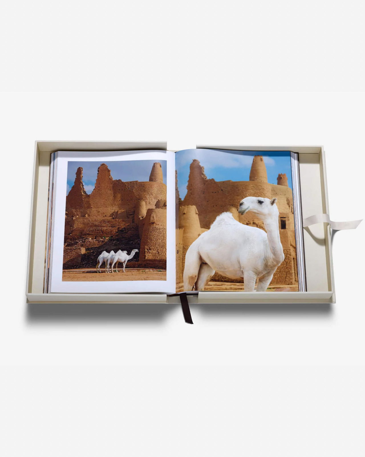 Grace in The Desert: The Beauty of Saudi Arabia's Camels