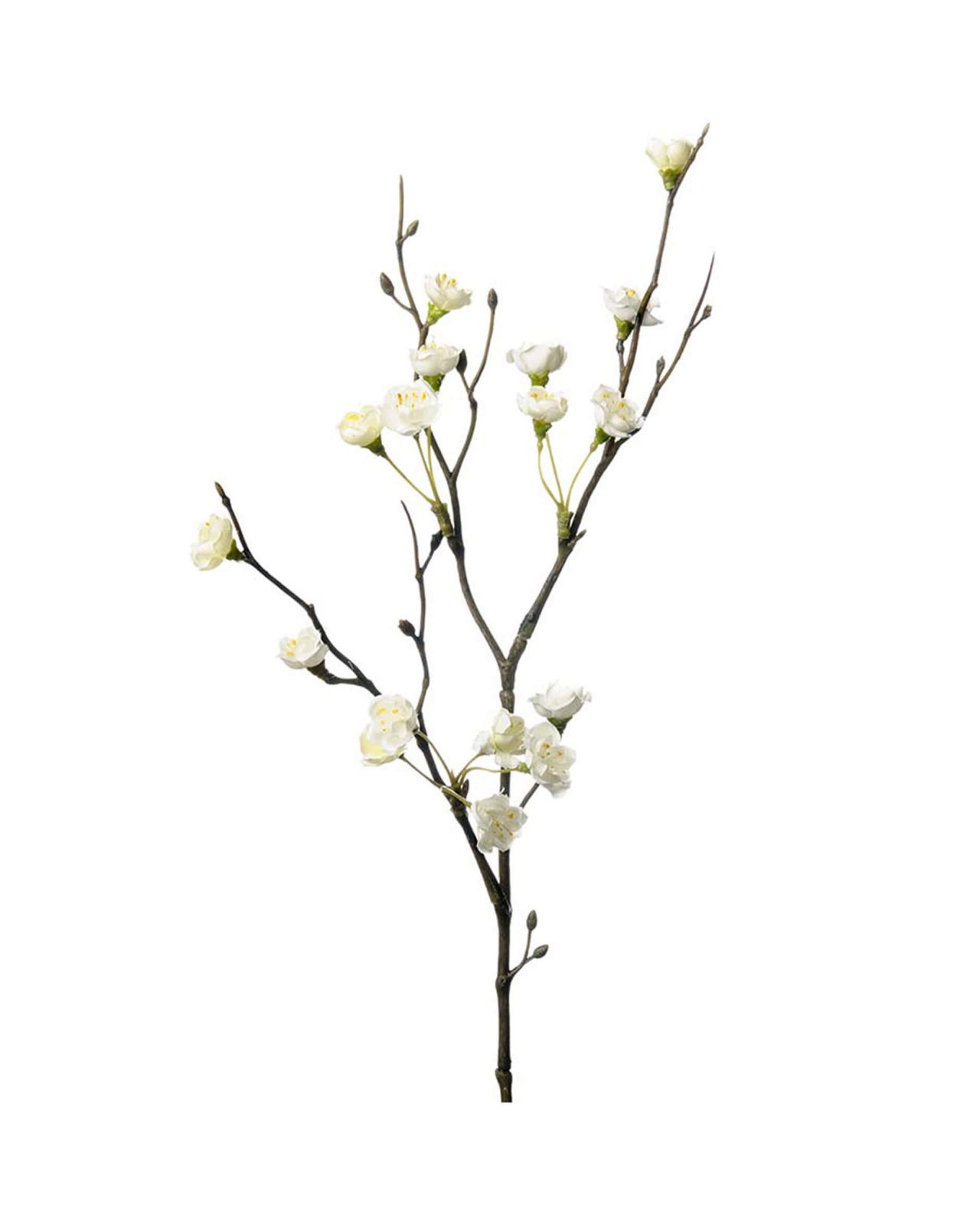 Blommegren i hvid