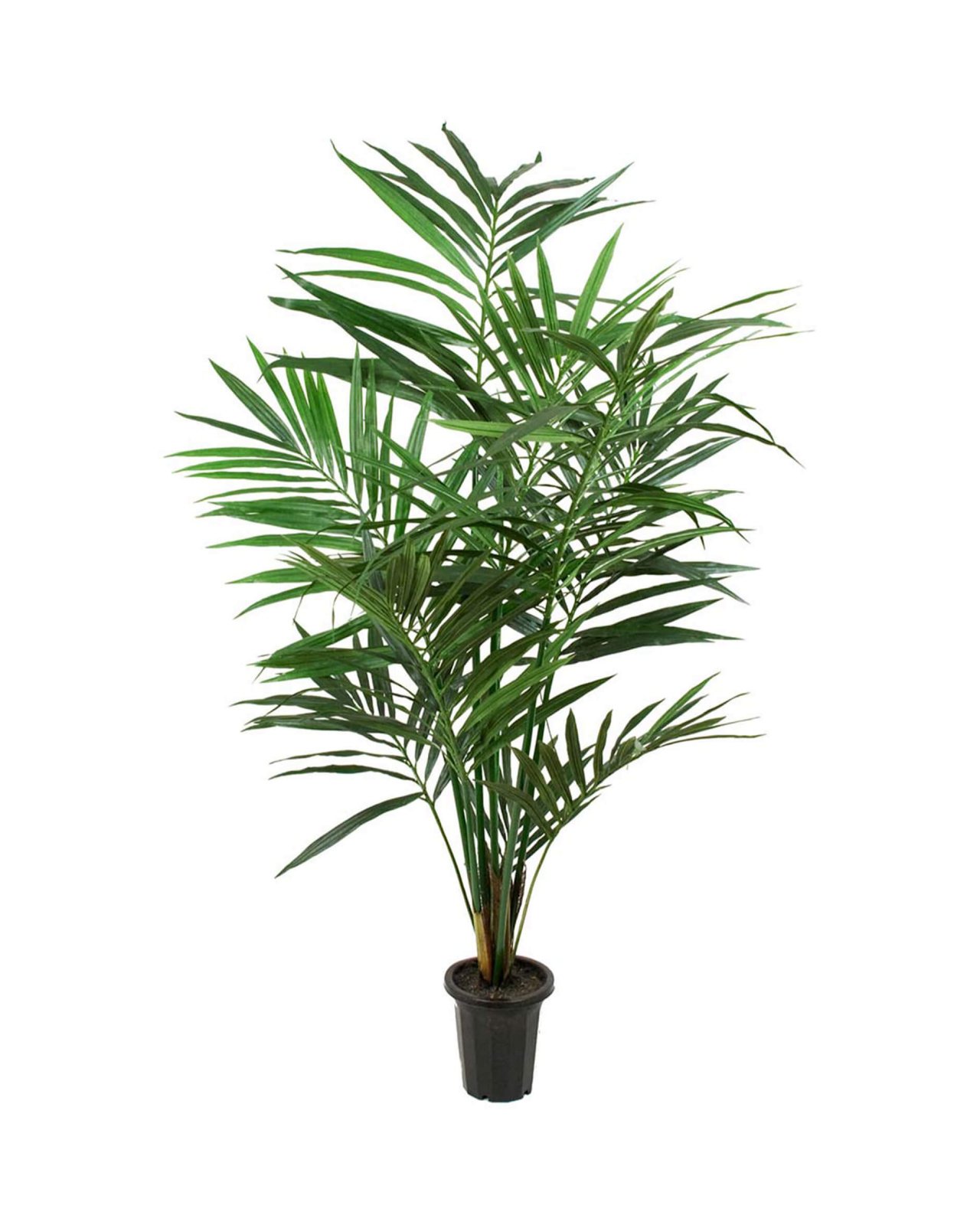 Kentia palm kunstplant
