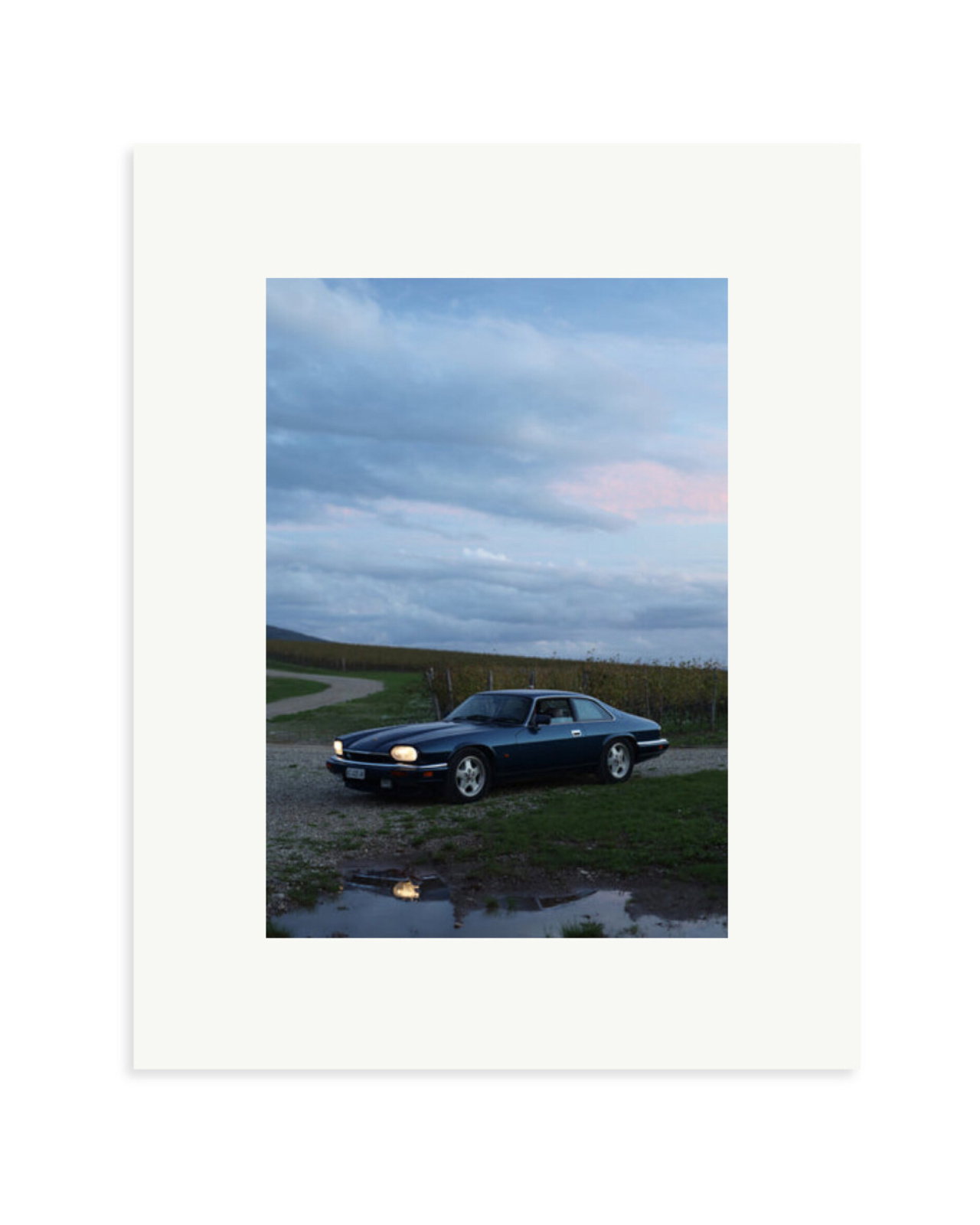 Jaguar XJS Print Only / Small
