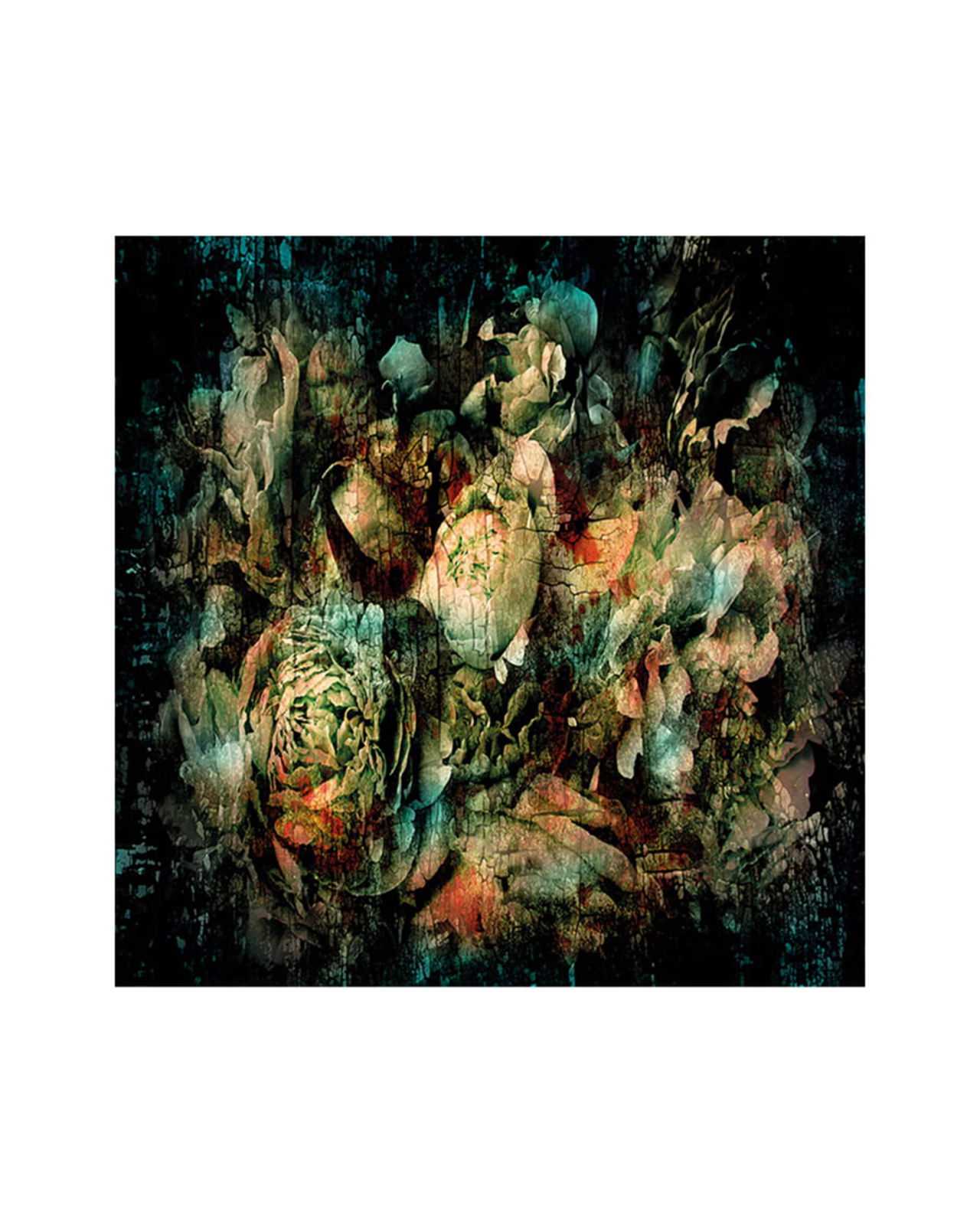 Botanical Abstract