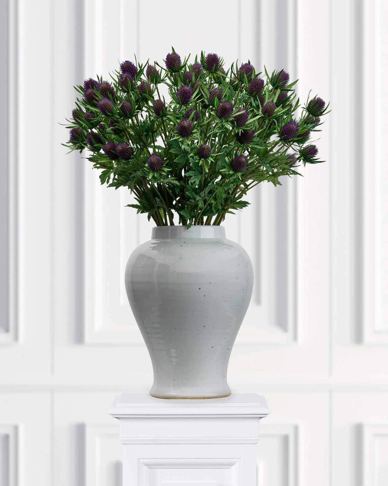 Thistle Cut Flower Blue