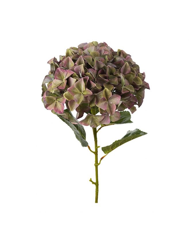 Hortensia snittblomma lila - Newport