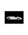 Jaguar XK120 Print Only / XXL