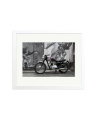 1963 Triumph Trophy White / Medium