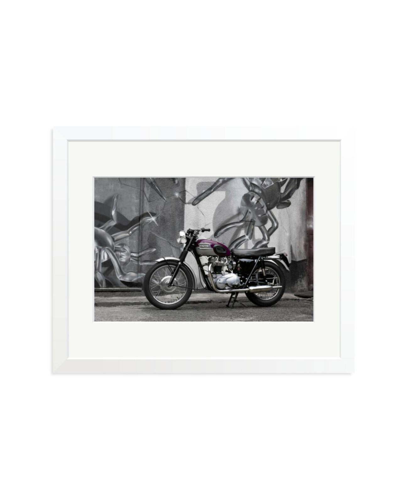 1963 Triumph Trophy White / Medium