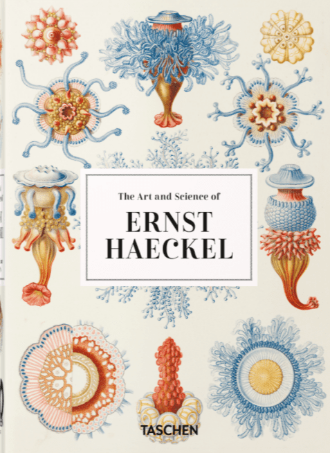 Ernst Haeckel - 40 Series