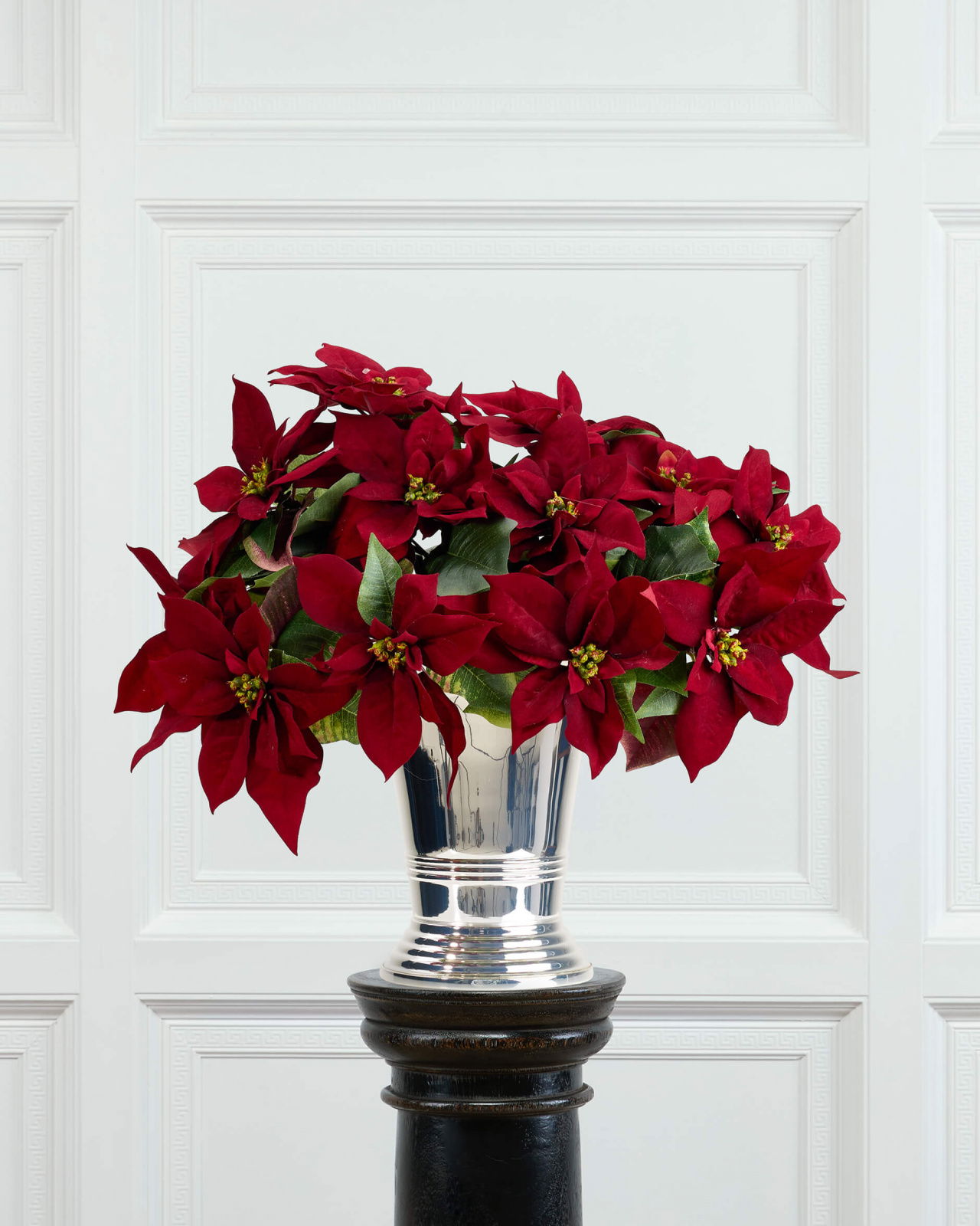 Poinsettia Cut Flower Burgundy