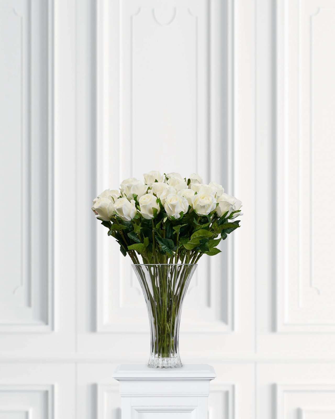 Rose – afskåret blomst i hvid