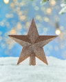 Bessie top star (champagne)