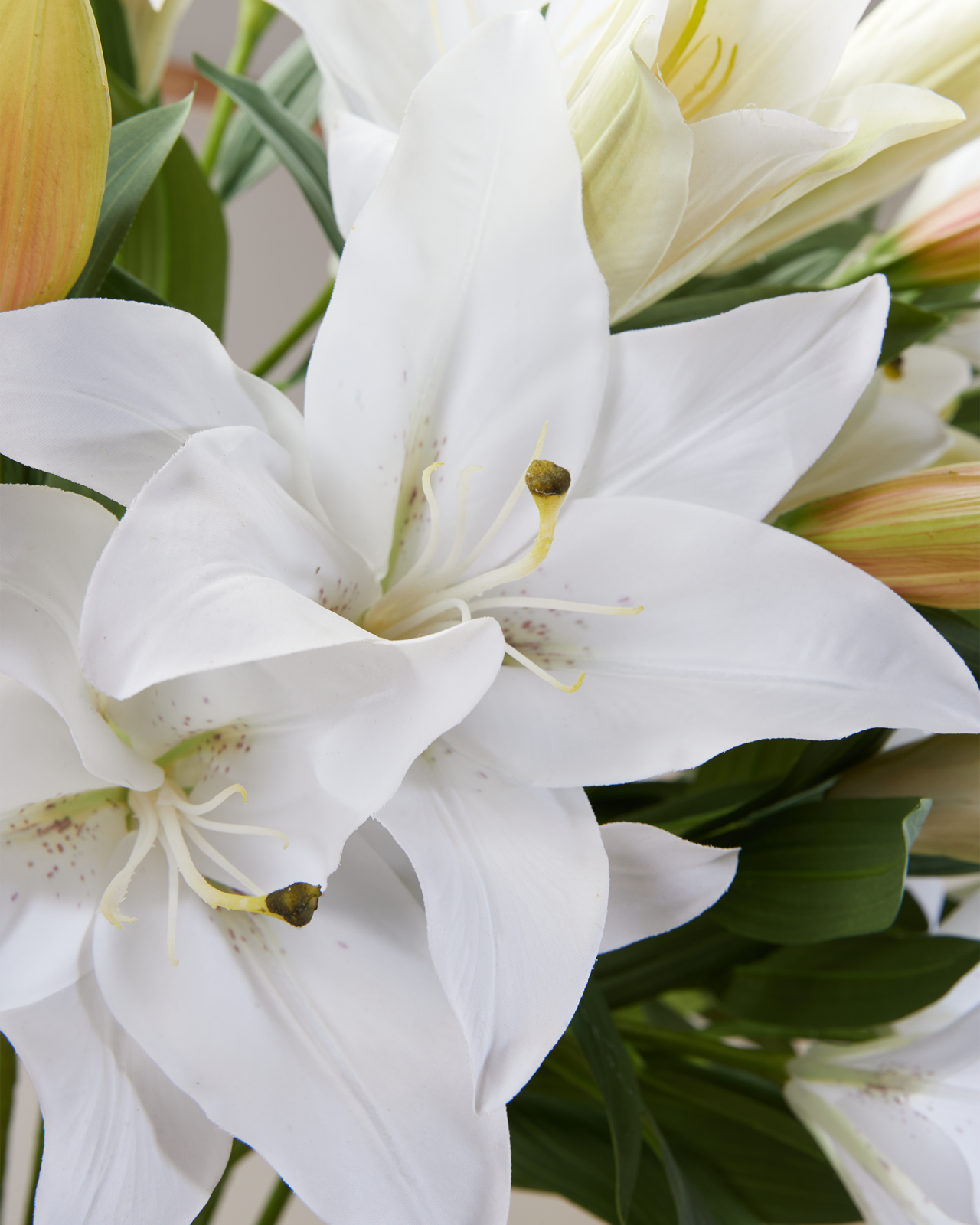 Lilja snittblomma vit