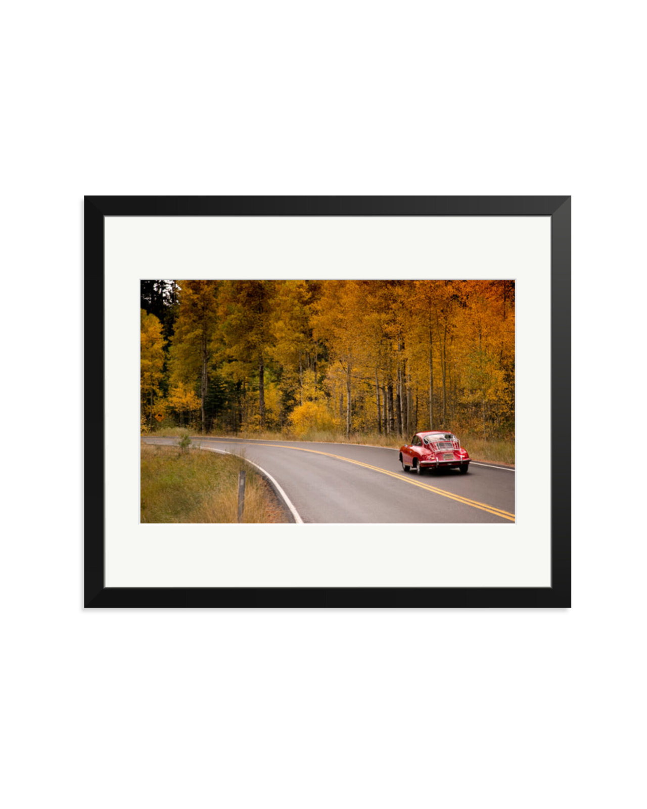 356 Porsche Black / Large
