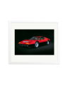 1977 Ferrari 365 White / Large