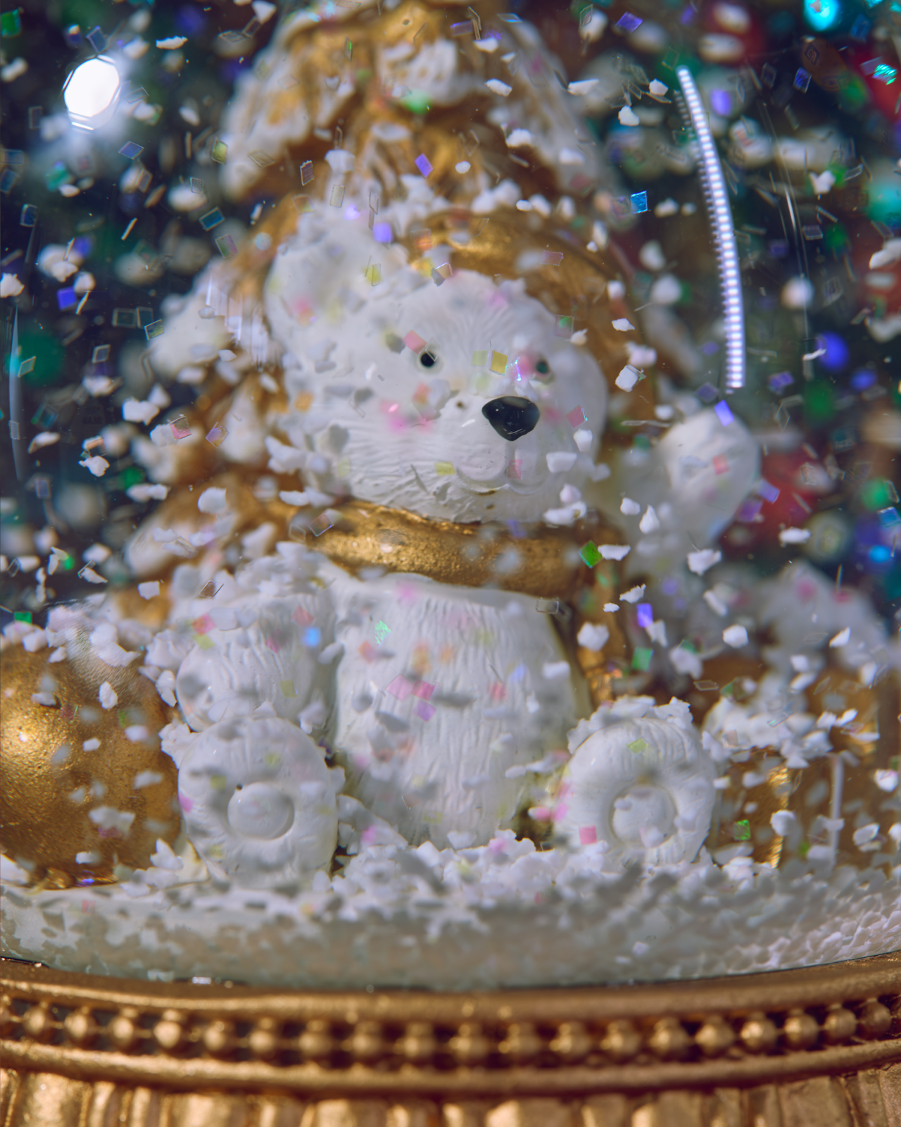 Matthew Snow Globe