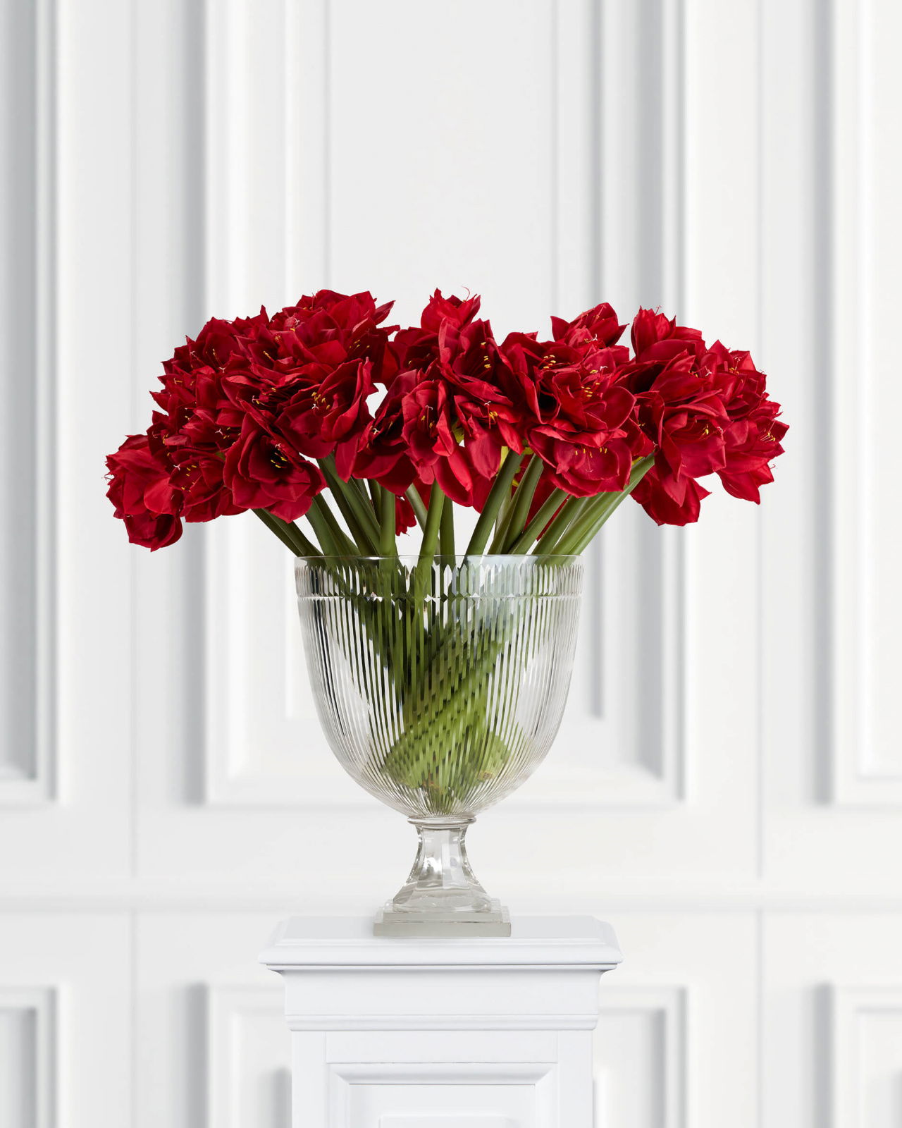 Amaryllis Cut Flower Red