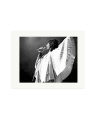 Freddie Mercury 1975 Print Only / XL