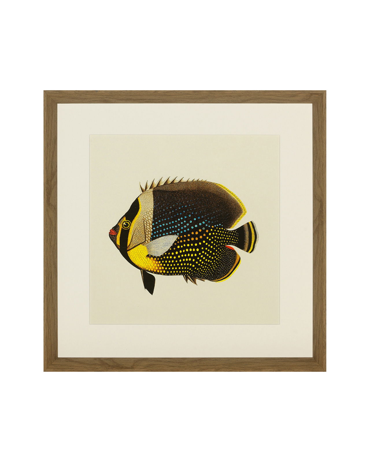 Fishes Set Of 4