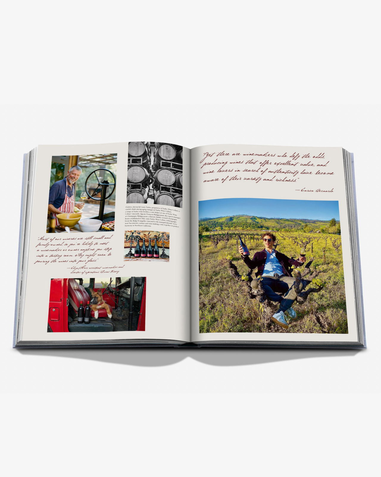 Wine & Travel United States of America