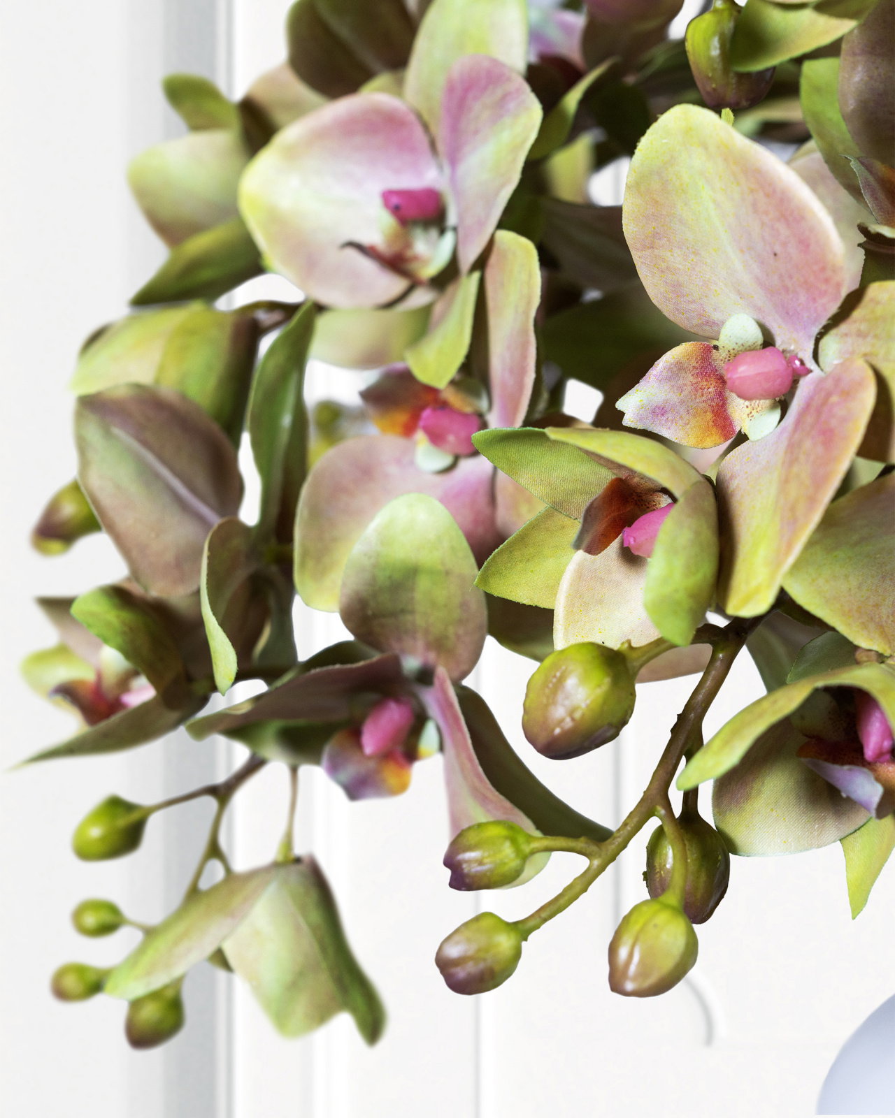 Orkidé snittblomma lila