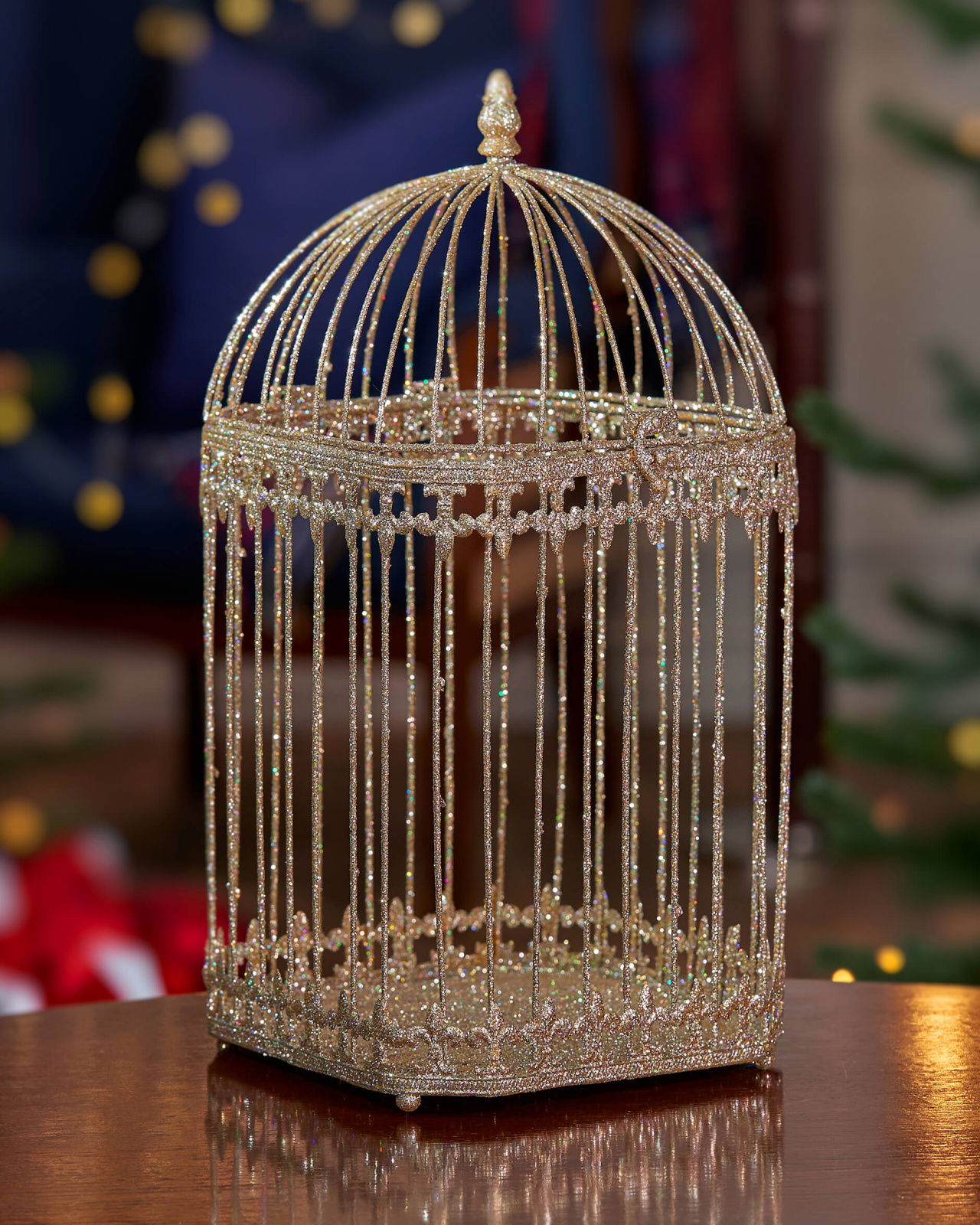 Loretta Birdcage Champagne