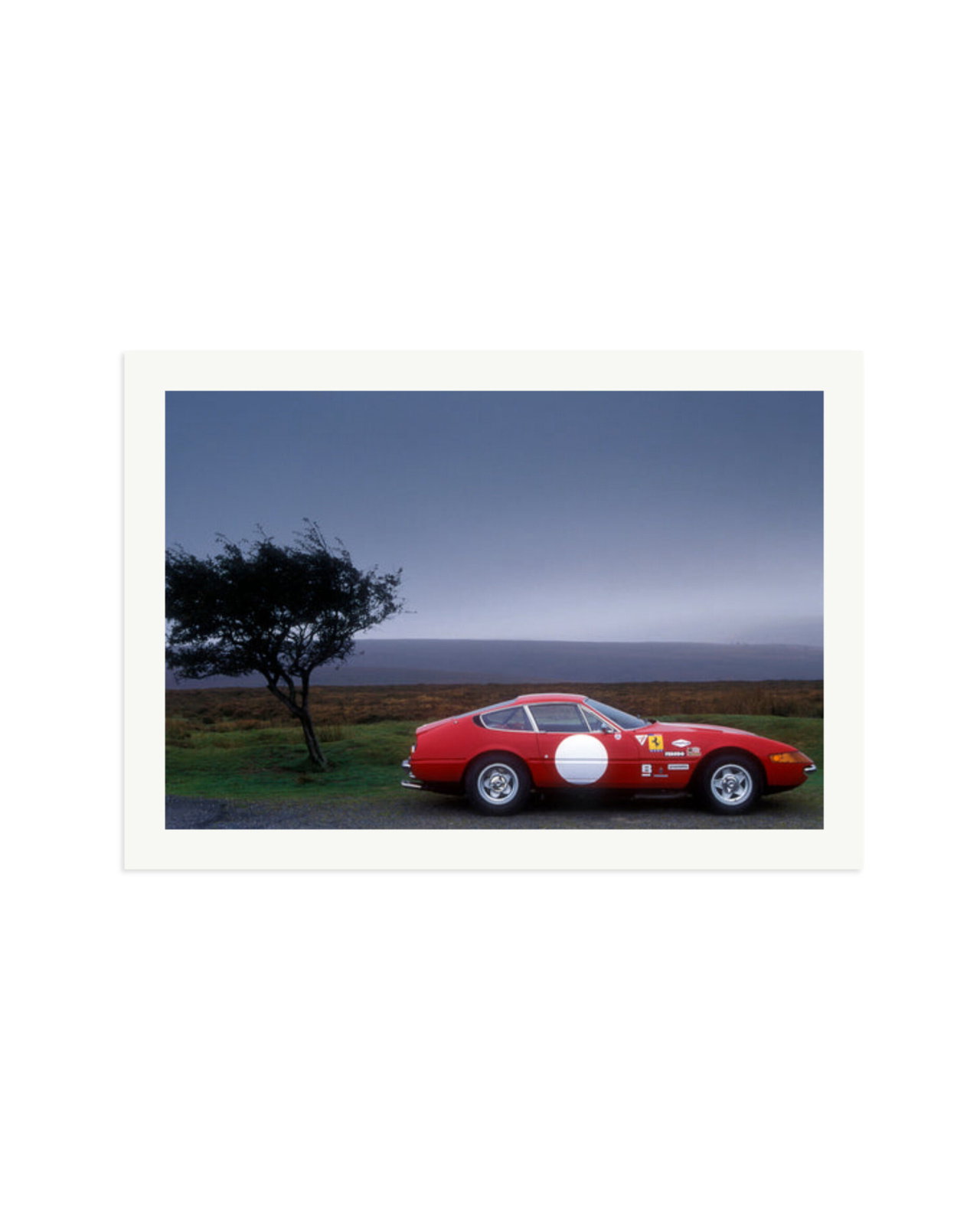 Ferrari Daytona Comp Print Only / XXL