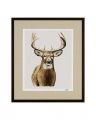 Handsome Whitetail II