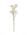 Baby's Breath Cut Flower White