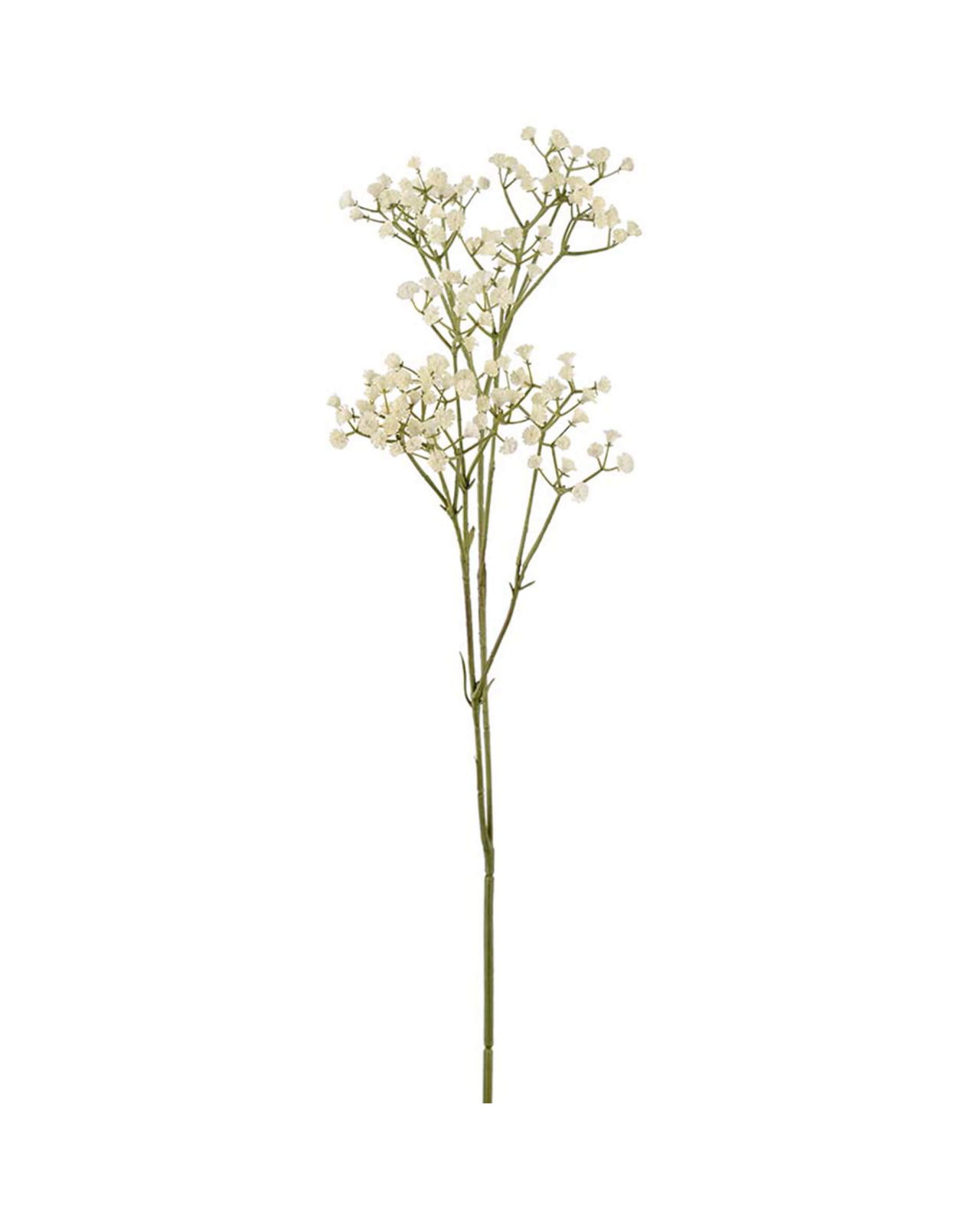 Baby's Breath Cut Flower White