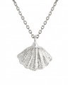 Mira Shell Necklace rhodium