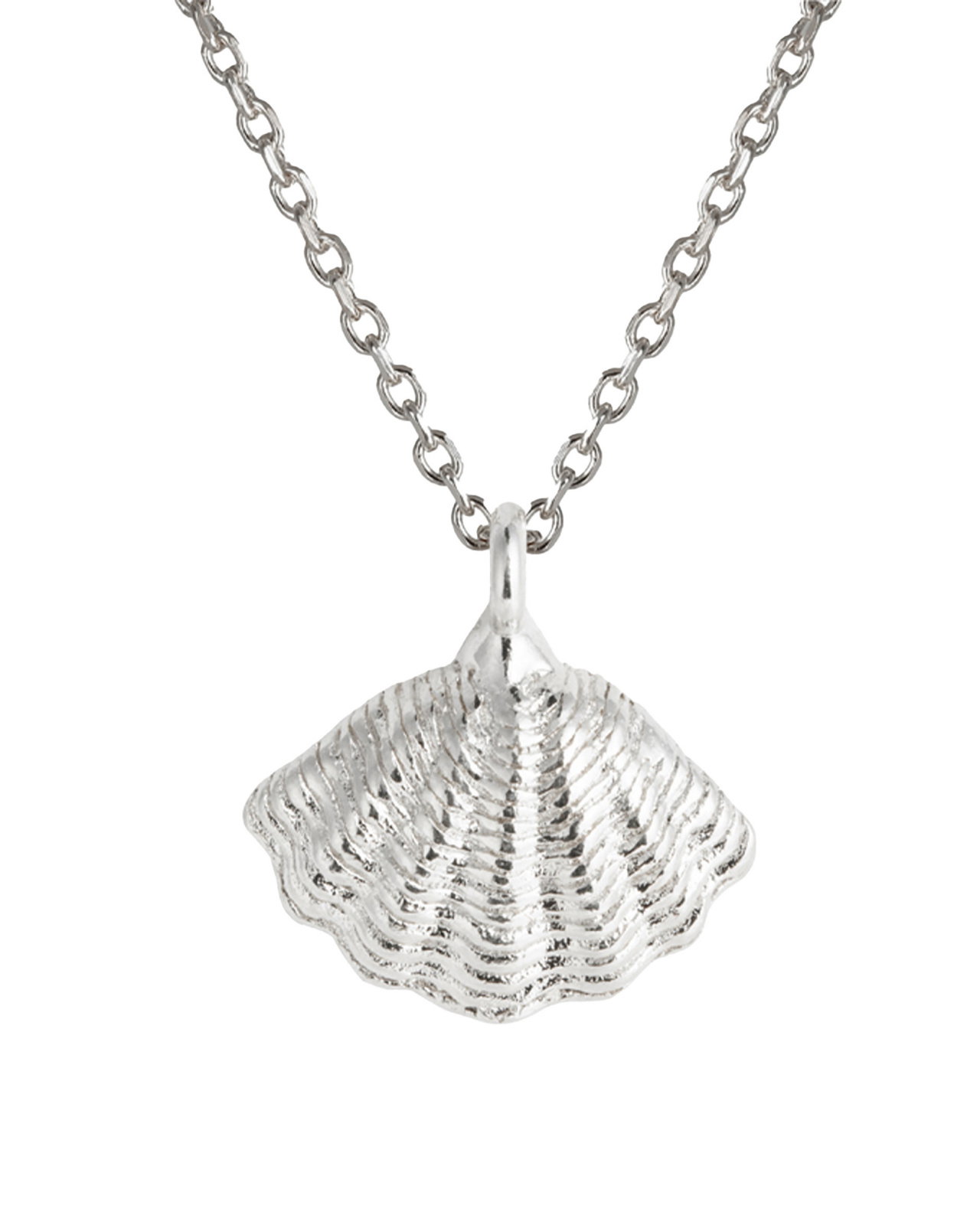 Mira Shell Necklace rhodium