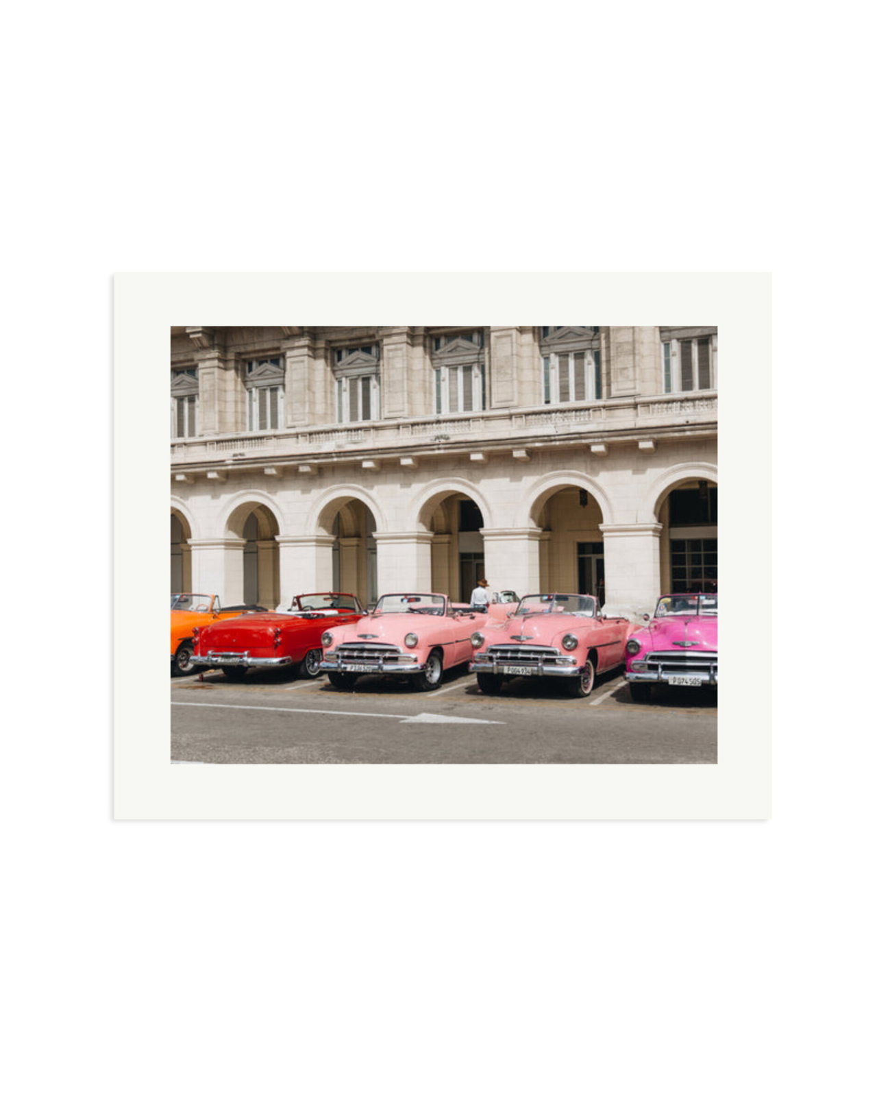 Cars Lined Up Print Only / Large