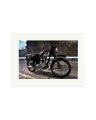 Triumph 1963 Print Only / XL