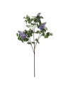 Lilac Cut Flower Blue
