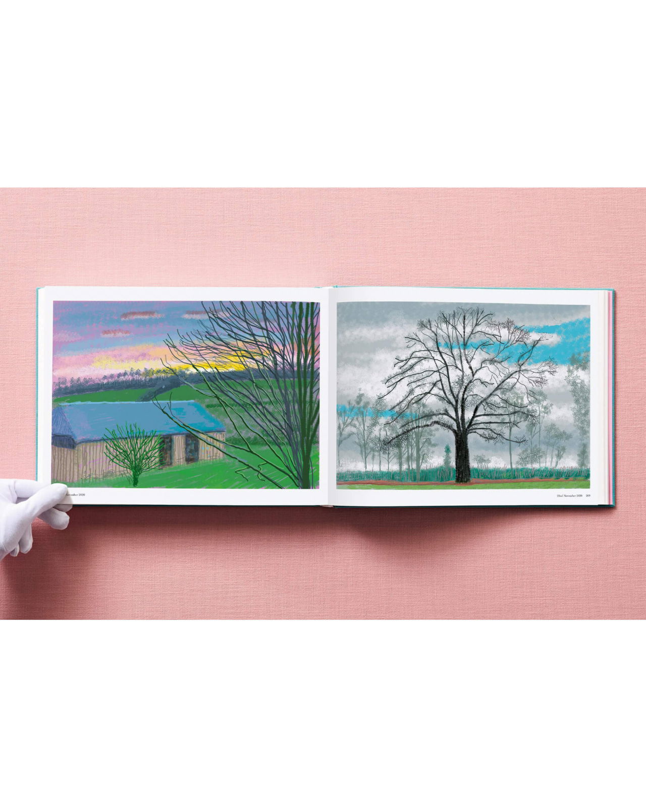 David Hockney. 220 for 2020