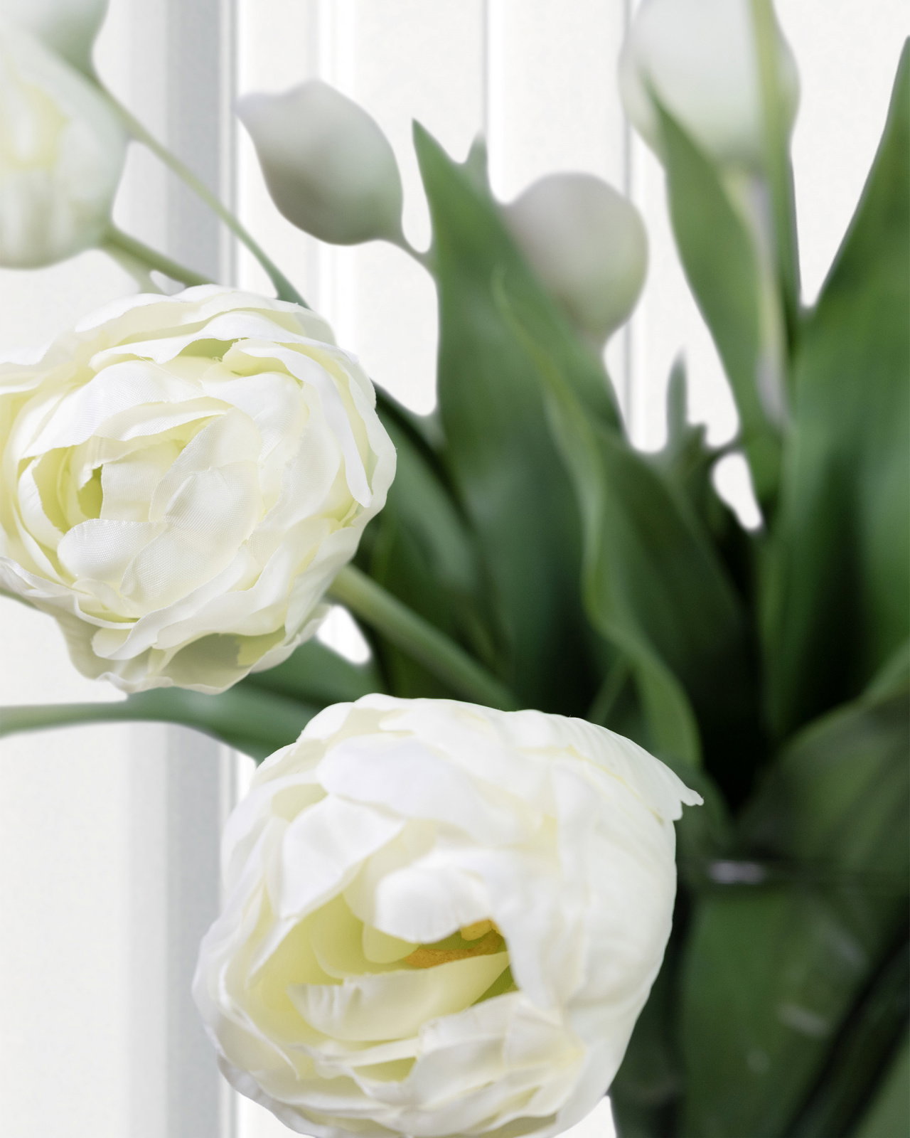 Tulpan snittblomma cream