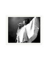 Freddie Mercury 1975 Print Only / XXL